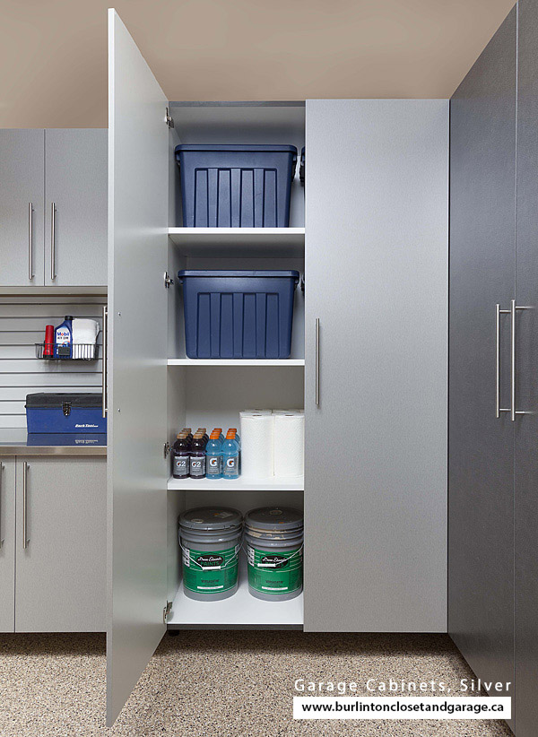 Swing Cabinet Doors, Sliver